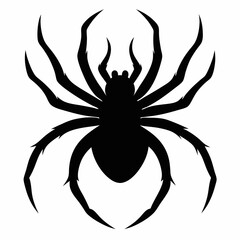 Halloween spider vector,spider isolated on white background