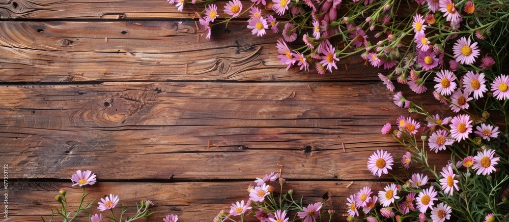 Sticker Wooden surface with asters and paper for a copy space image