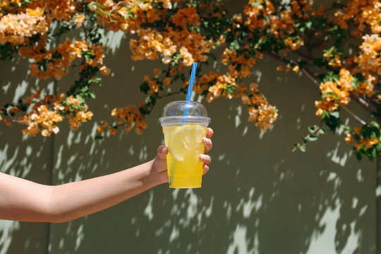 Cropped shot of a woman holding a takeaway cup with iced lemonade on a hot summer day. Yellow flowerings background, copy space for text, close up.