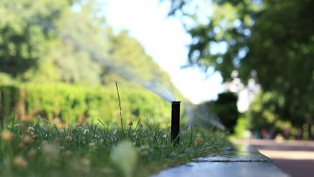 Automatic watering systems for plots, lawns and plants. Automated irrigation systems spray water in the park. Plastic water sprayer for watering the lawn, close-up