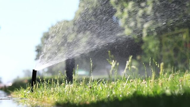 Automatic watering systems for plots, lawns and plants. Automated irrigation systems spray water in the park. Plastic water sprayer for watering the lawn, close-up