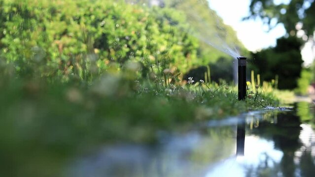 Automatic watering systems for plots, lawns and plants. Automated irrigation systems spray water in the park. Plastic water sprayer for watering the lawn, close-up