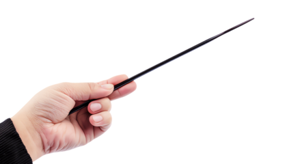 Hand Holding a Black Stick.