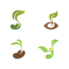 Fototapeta premium Plant Seeds Logo Vector Concept Template