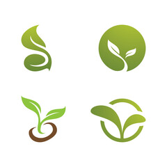 Plant Seeds Logo Vector Concept Template