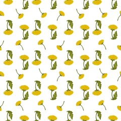 Seamless watercolor pattern isolated yellow dandelions with leaf on a white background. Repeating pattern drawn by hand