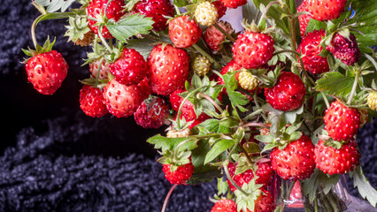 bright, red and delicious wild strawberries on a dark background, close-up view