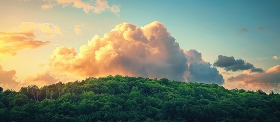 A large golden cloud hovers in the evening sunlight above a lush forest ideal for a copy space image