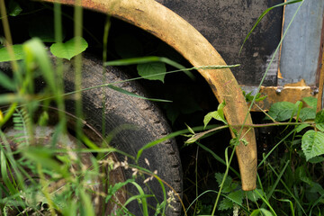 old overgrown car tire