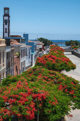 Barranco de Santos - Santa Cruz de Tenerife - Impressions from the capital of Tenerife and the seat of government of the Canary Islands.
