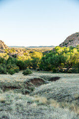 Prescott Landscape