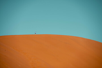 sand dunes in the desert, sossusvlei, namibia
