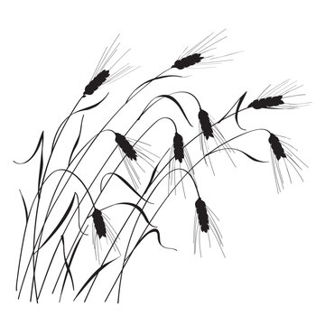 recommend clip art: Black Silhouette of Ripe Wheat Ears