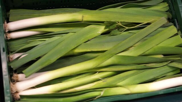 leeks on a shelf in a supermarket