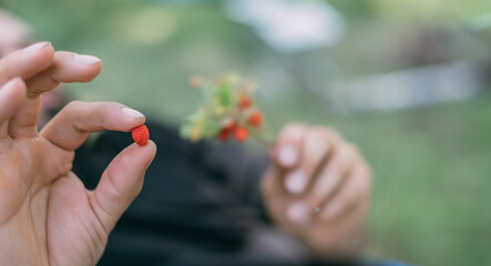 A bouquet of twigs with wild strawberries in men's hands. Close-up.