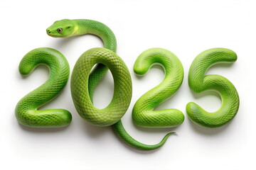 Fototapeta premium 2025 happy new year from green snake skin numbers isolated on white background. Chinese new year, year of the snake, Chinese zodiac snake