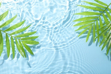 Palm leaves in water on light blue background, flat lay. Space for text