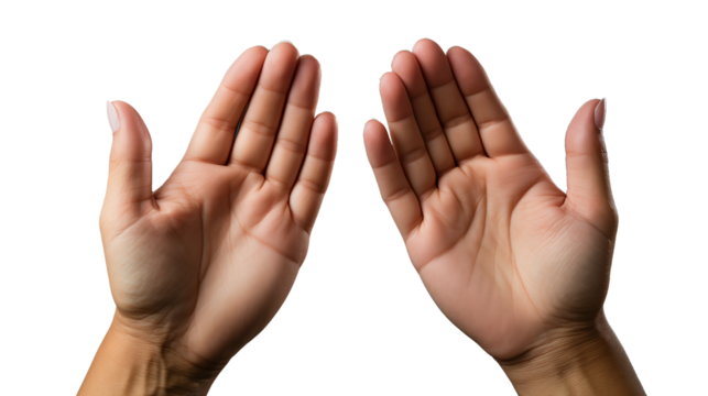 two hands isolated on white transparent background PNG