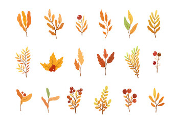 Vector autumn clipart design with colourful elements isolated on white background