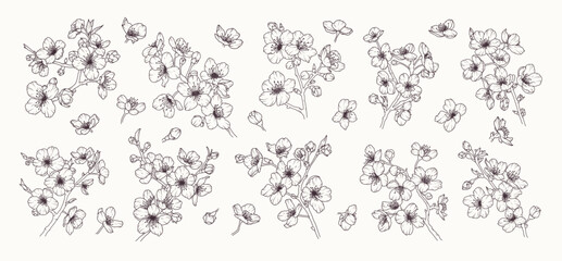 Set of sakura flower branch hand drawn black floral sketch. Cherry blossom japanese twigs line art. Spring botanical petal, leaves. Bloom asian plant vector illustration in outline style © madiwaso