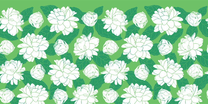 Vector white and green rows of Jasminum sambac or Arabian Jasmine flower monochrome horizontal border pattern. Suitable invitation cards and posters.