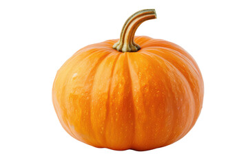 Fototapeta premium Vibrant orange pumpkin isolated on white background. Perfect for autumn, Halloween, and Thanksgiving themed designs and decorations.