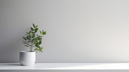 Minimalist Interior with Potted Plant