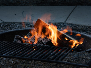 Campground Fire Pit with Burning Logs