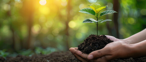 Animated AI mascot planting a tree 