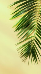 Fototapeta premium Green palm leaf with a vibrant yellow backdrop, ideal for content on tropical vibes, freshness, and bold color contrasts.