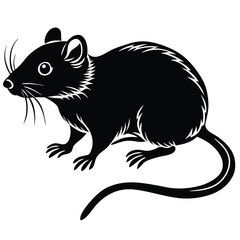 Fototapeta premium Rat Silhouette, Rat Isolated On White Background