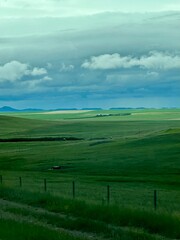 Naklejka premium Field 
