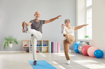 Happy mature senior man and woman wearing sportswear having workout for health in rehabilitation center. Cheerful elderly couple doing fit exercises. Concept of sport and fitness for retired people.