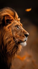 Naklejka premium Enhance the details of the lion's face, fur, and mane. Make the colors more vibrant and lifelike. Add a golden glow to the fur and a glint of light in the eyes.