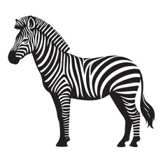 zebra Silhouette vector art illustration white back ground
