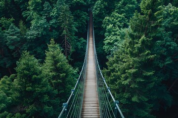 Suspended Wooden Bridge Amidst Lush Green Forest