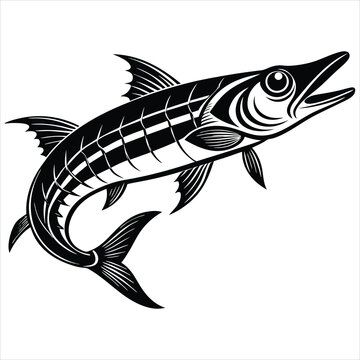 recommend clip art:  Barracuda fish silhouette vector illustration on white background