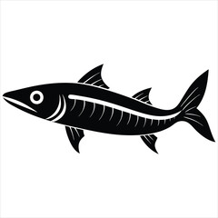  Barracuda fish silhouette vector illustration on white background