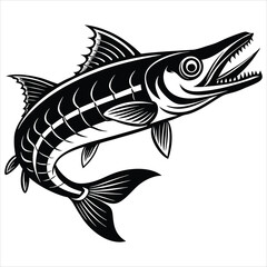  Barracuda fish silhouette vector illustration on white background