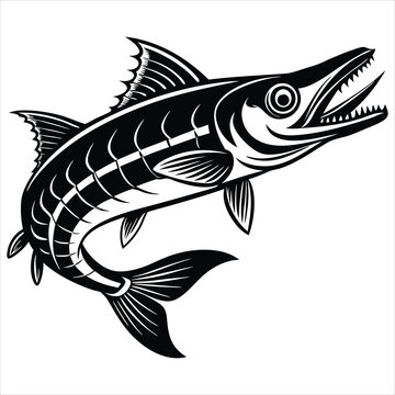 recommend clip art:  Barracuda fish silhouette vector illustration on white background