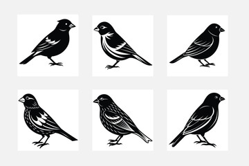 set of silhouettes of birds