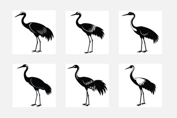 set of birds
