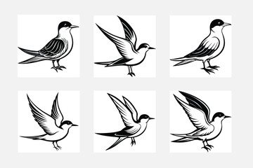 set of silhouettes of birds