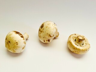 Champignon mushrooms isolated on a white background