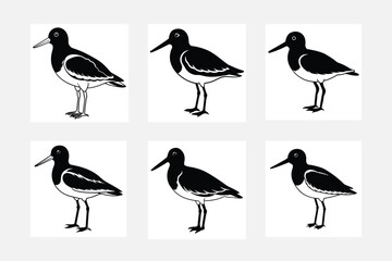 Obraz premium set of birds silhouettes