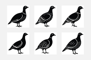 set of birds silhouettes