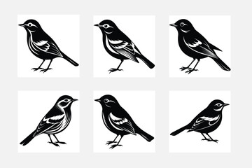 collection of birds simple illustration silhouette set