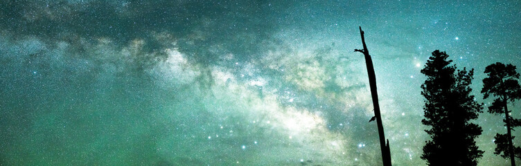 Panorama of the Milky Way Galaxy with trees in the foreground.