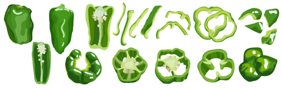Set of green bell peppers, sweet peppers, Japanese bell pepper, paprika,  pīman, piment, poivron, pimient, capsicum, hand drawn vector illustration isolated