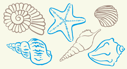 Shells , colorful seashells , shellfish, conch , mollusks , starfish , marine illustration, vector illustration , decorations, ocean , scallops, doodle